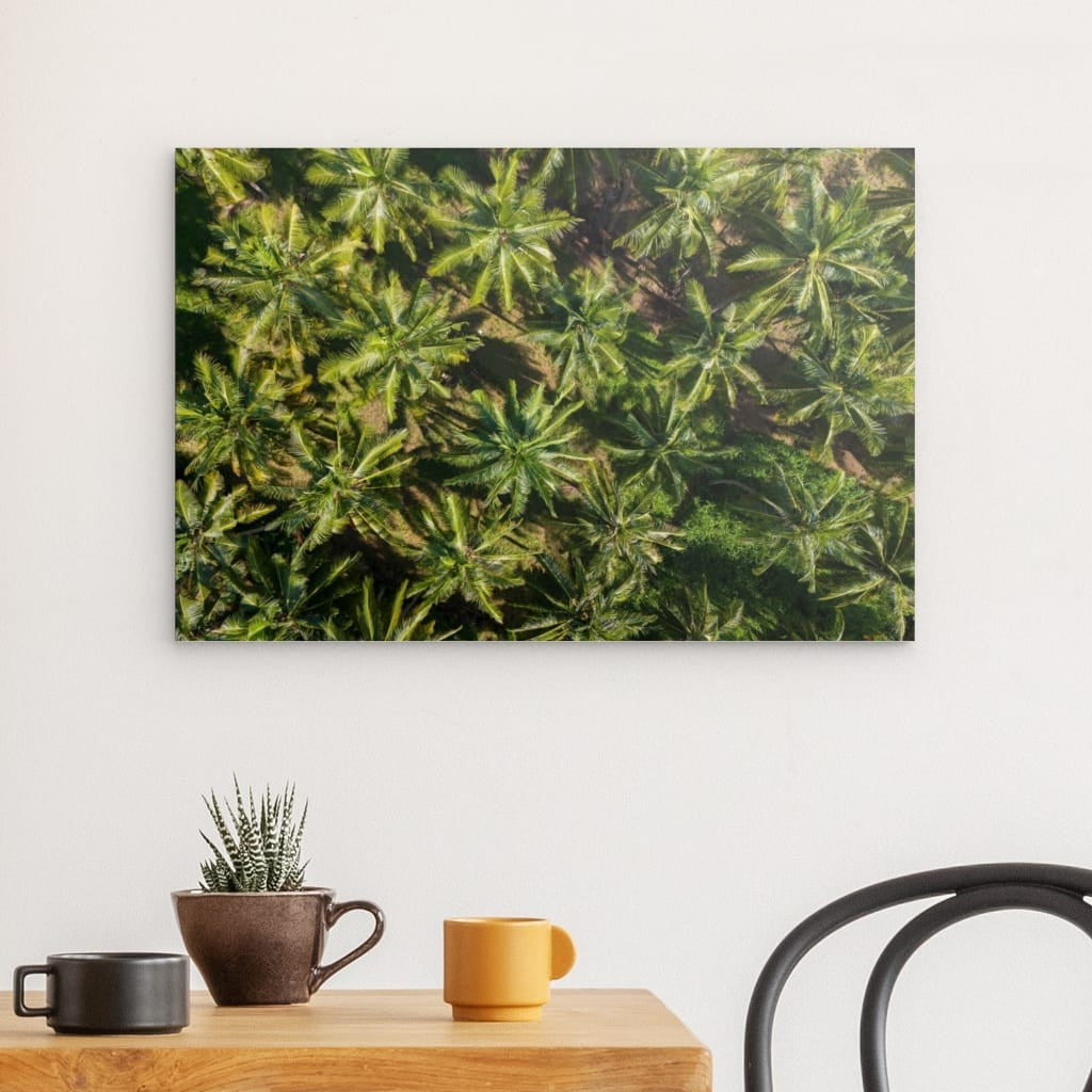 Palm paradise diband