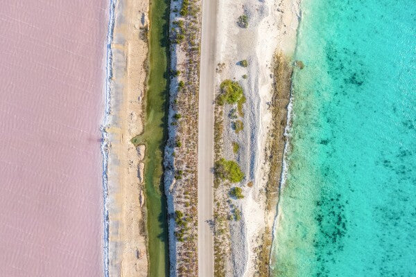 Caribbean Dream - Glas