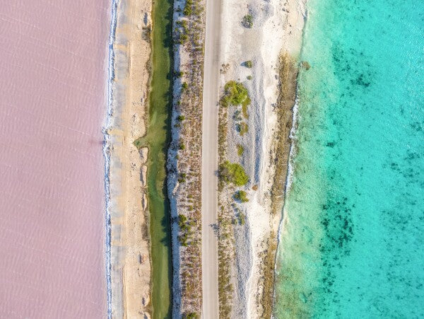 Caribbean Dream - Glas