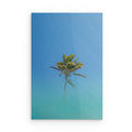 palm - Dibond