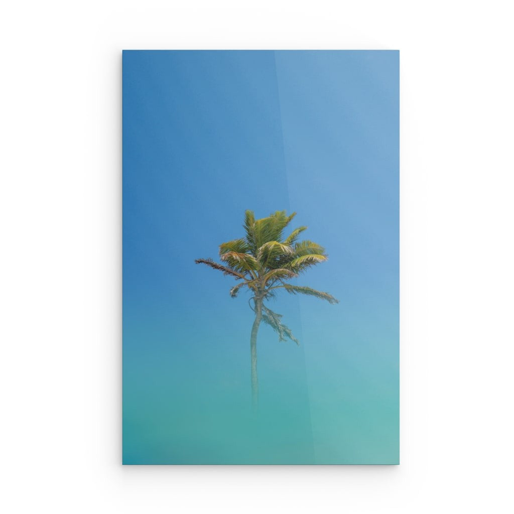 palm - Dibond