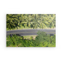 Palm Road - Dibond