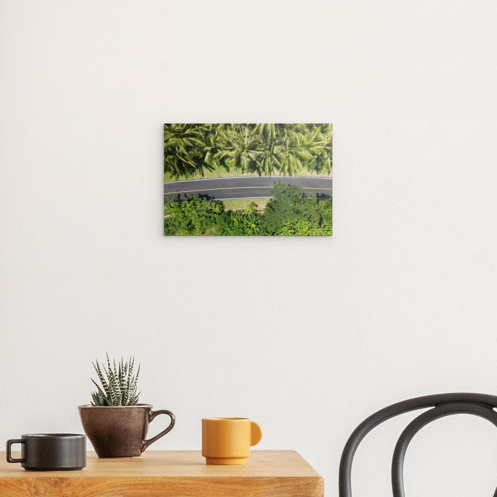 Palm Road - Dibond